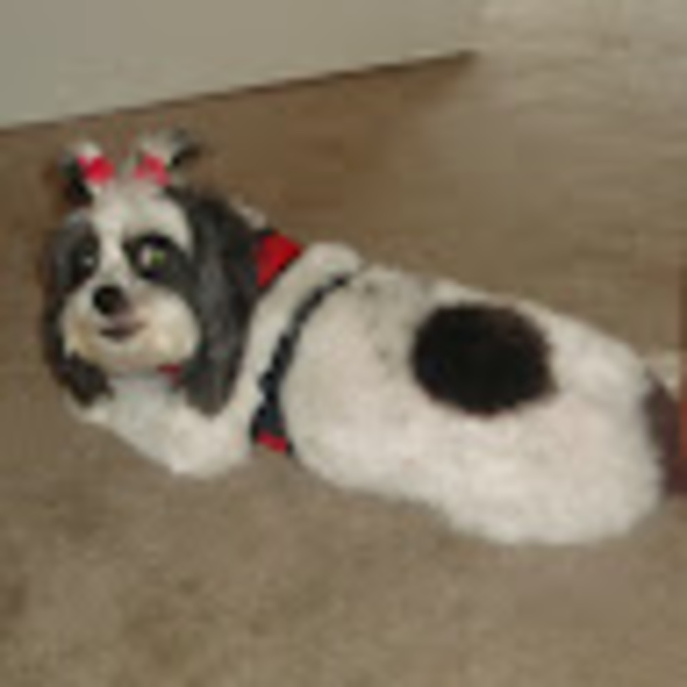 Meet your Posher, Mary